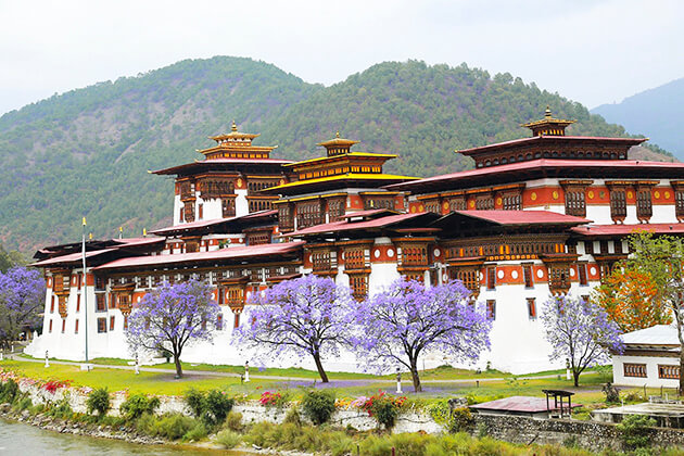 Đặt khách sạn Bhutan tốt nhất