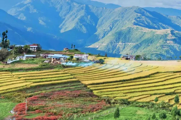 Làng Radhi