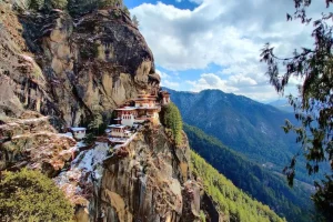 Ngắm Chim Ở Bhutan - Thiên Đường Của 700 Loài Chim Quý Hiếm