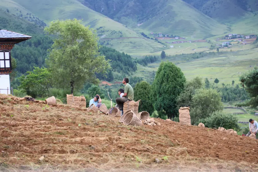 Thử làm nông dân Bhutan (Archery & Farming)
