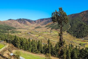 Thung lũng Phobjikha tại Punakha, Bhutan