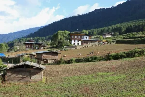 Trải Nghiệm Homestay Bhutan Sống Như Người Bản Địa & Tắm Đá Nóng Dotsho