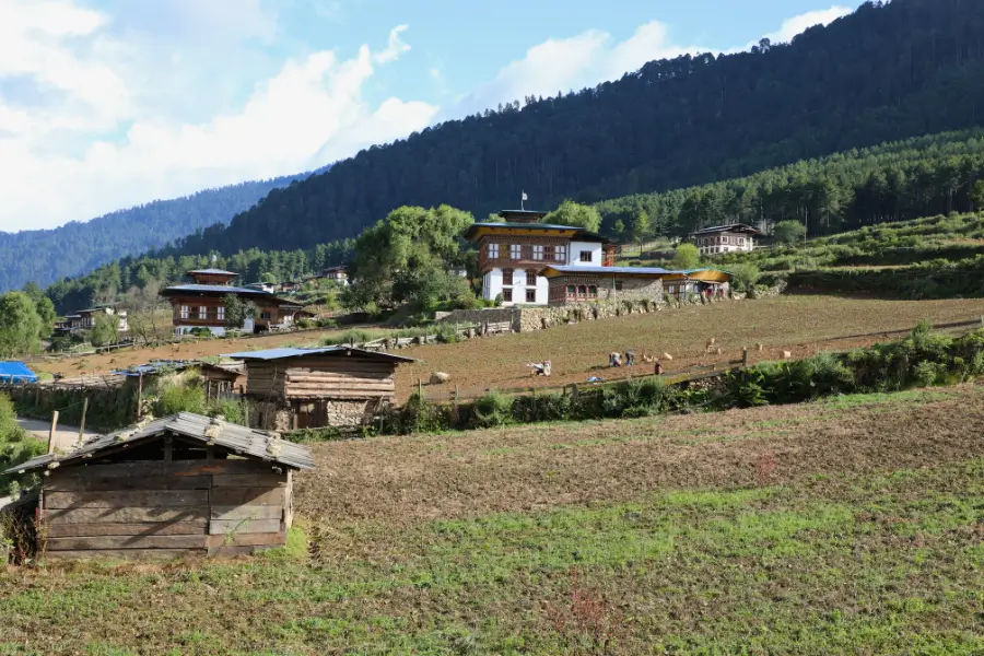 Trải Nghiệm Homestay Bhutan Sống Như Người Bản Địa & Tắm Đá Nóng Dotsho