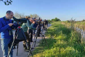 Trải nghiệm hành trình birding tours tại Bhutan – Thiên đường của các loài chim quý hiếm