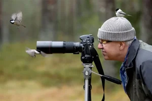 Tour ngắm chim Bhutan – Trải nghiệm birdwatching giữa núi rừng Himalaya