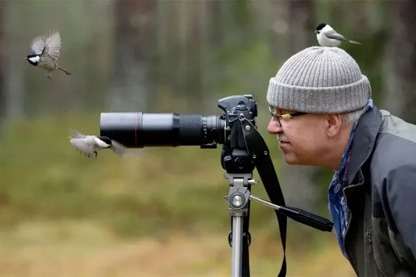 Tour ngắm chim Bhutan – Trải nghiệm birdwatching giữa núi rừng Himalaya