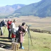 Trải nghiệm hành trình ngắm chim hoang dã giữa núi rừng Bhutan