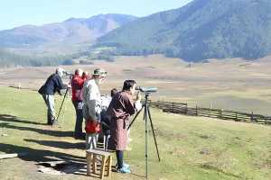 Trải nghiệm hành trình ngắm chim hoang dã giữa núi rừng Bhutan
