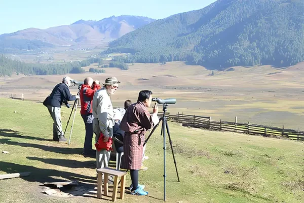 Trải nghiệm hành trình ngắm chim hoang dã giữa núi rừng Bhutan