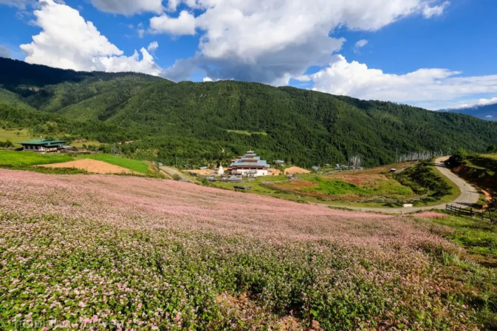Bumthang