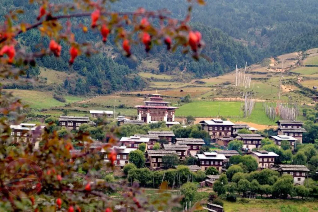 du lịch trăng mật bhutan