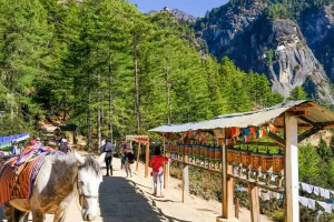 Leo núi Taktsang (Hang Hổ) trong tour ngắm chim Bhutan trọn gói