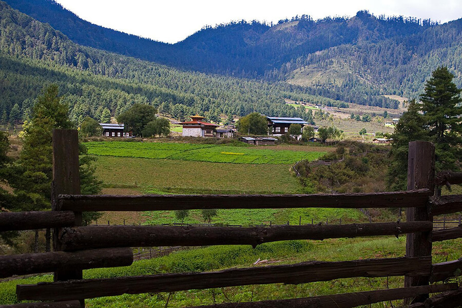văn hóa tại Phobjikha, Bhutan